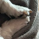 난걍스트레스가많다