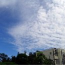 호텔데일리 이미지