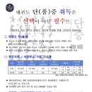 연희 피움K태권도장 | [피움-K 태권도] 2024년 제 4회 국기원 승품, 단 심사 결과 안내