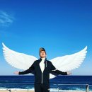 (주)다정한바다