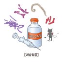 백일해(Pertussis) 이미지