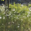 숲깊은 농장 이미지