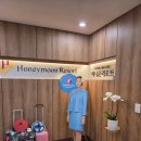 주식회사 지인항공여행사 | 신혼여행 박람회 허니문 리조트 발리 계약 후기 (+지인 할인코드)