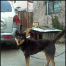 대화카센타 이미지