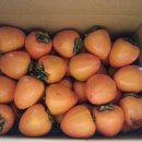 수지 농장 이미지