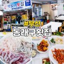송우막썰어회집 | 온천장단체모임장소 모듬회가 신선한 부산동래구맛집 온천장 막썰어횟집 산오징어 후기