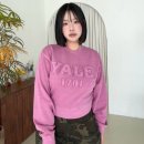 주식회사 비비드 | YALE 예일 우먼즈 여성맨투맨으로 하이틴 프레피룩 완성