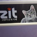 고지트 | 신림 놀거리 , 데이트 추천 ! / 고양이 만화카페 고지트 후기 ! / 대학동 고시촌 고양이카페