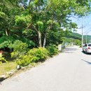 운학동 돌무지군 이미지