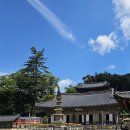 공주 가볼만한 곳, 유네스코 세계유산 마곡사 솔직 후기 (주차 꿀팁)