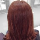 핑크 체리 이미지