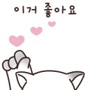 해피애견타운 분당판교점 이미지