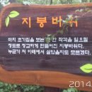 고흥농협주유소 이미지