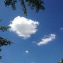 아이룩안경콘택트 이미지