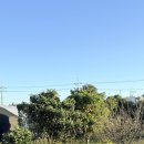 나름의 고요 이미지