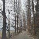 행복한목장송산 이미지
