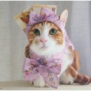 우리꽃떡만들기 이미지