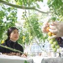 (주)하나로 축산기업 이미지