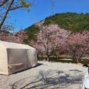 주)남숙 휴마트 | 강원도 삼척 여유캠핑장 : 양평 정육점 정육마트에서 소고기 포장해간 후기