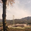 음양2리 이미지