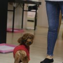 여별 이미지
