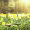 행복하시개 이미지