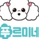 푸르미네 수제간식 네이버블로그