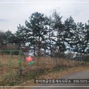 경남고성부동산 - 삼산면 아름다운 바다 전망의 전원주택지 토지매매 989제곱미터 (299.7) 이미지