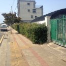 대정읍 동일리 날외소금밭(2구역) 터 이미지