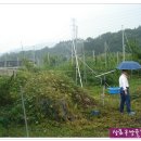 부목농장 이미지