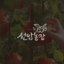 성암 농장 이미지