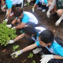온평초등학교 이미지