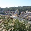 장미공원안내소 이미지