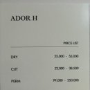 아도어 에이치(ADOR.H)