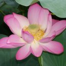 덕진공원 관리사무소 이미지