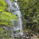 Leura Falls Blue Mts N. P. 21 Mar 2026 by John JH Hwang 이미지