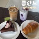 대구 앞산커피맛집 플란트 감성카페 후기 소금빵부터 발로나 초코 케이크까지