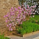 숲속에한옥 이미지