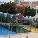 청파초등학교 이미지