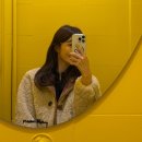 닥터베이직의원 | 리프팅 총정리 써마지 울쎄라 엠페이스 통증 효과