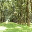 염소우리 이미지