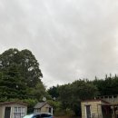 🇳🇿 뉴질랜드 라카이아 숙소 :: 라카이아 리버 홀리데이 파크(Rakaia River Holiday Park)