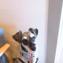 무지개파크 이미지