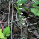 싹독싹독 이미지