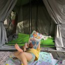 서울대공원 캠핑장 이미지