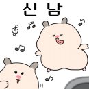 쫄파촌닭 이미지