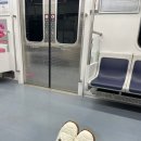 ㈜지지산업 | 의정부 녹양 데이트 코스 추천┊돈까스명장 의정부녹양점, 포어레스트(바스크치즈케이크 존맛 카페...