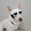 나누구개 이미지
