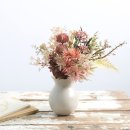 모조하우스 이미지