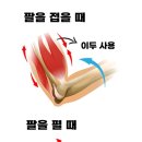 율트리